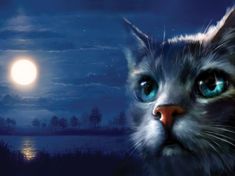 a cat with blue eyes stares into the distance in front of a full moon and lake