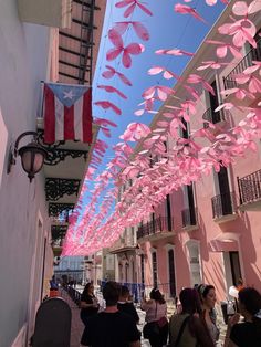 people are walking down the street with pink decorations hanging from the building's sides