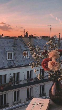 a vase filled with flowers sitting on top of a roof next to a book and some buildings