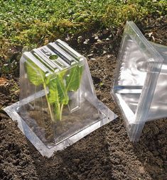 two plastic containers with plants in them sitting on the ground next to some dirt and grass