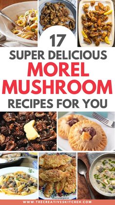 the cover of 17 super delicious morel mushroom recipes for you