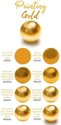 an info sheet showing the different types of paints