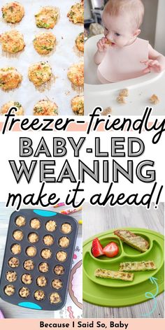 baby - led weaning make it ahead and freezer friendly foods for babies