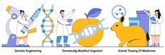 Genetic Engineering, Genetically Modified, Genetic, Vector Art, Medicine, Vector Free, Engineering