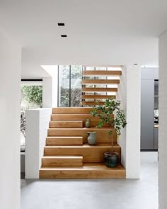 the stairs are made of wood and have planters on each side, along with potted plants