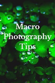 the words macro photography tips surrounded by green leaves and water droplets on a black background