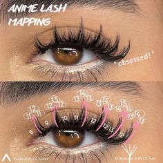 Lash Placement, Lash Mapping, Lash Technician, Lash Growth Serum, Eyelash Tips