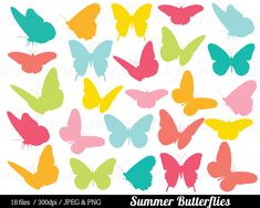 colorful butterflies are arranged in the shape of a circle, with different colors and sizes