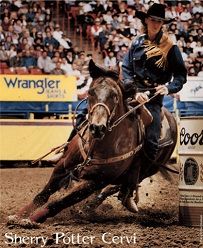 a man riding on the back of a brown horse in front of a large crowd