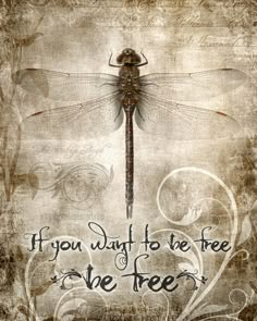 a dragonfly with the words if you wait to be free, we free on it