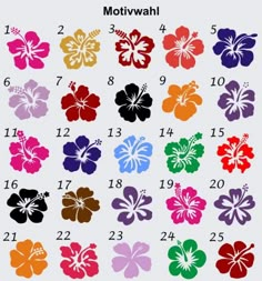 an image of hawaiian flowers with the numbers in each color and number on each side