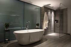 a bathroom with a bathtub and shower in it