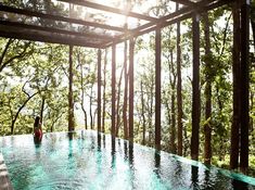 an outdoor swimming pool surrounded by trees and sun shining through the canopy over it's head