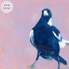 Photo of a fine art giclee archival print of an oil painting of a navy blue and white magpie with a sassy and cool attitude on a soft and textured background. Magpie Art, Art Prints Quotes, Happy Art