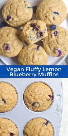 blueberry muffins in a muffin tin with the title vegan fluffy lemon blueberry muffins