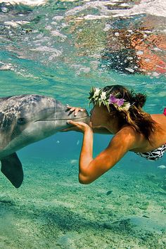 a woman is kissing a dolphin in the water with flowers on her head while she swims