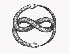 a drawing of a snake wrapped around a circle