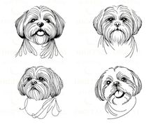 four different types of shih tzu dogs with their heads turned to look like they are