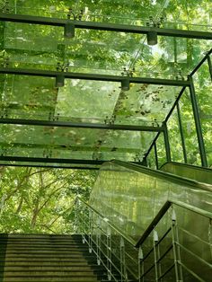 an escalator in the middle of a forest with lots of green leaves on it