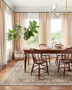 a dining room table with four chairs and a potted plant in the corner next to it