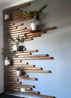 some wooden shelves with plants and potted plants on them in front of a blue wall