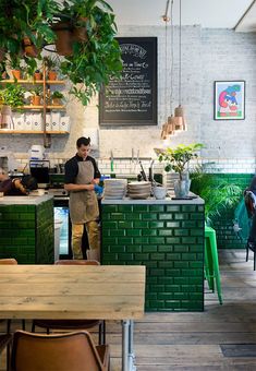 a man standing in front of a green brick wall with potted plants on it