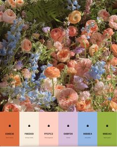 an assortment of flowers are shown in color swatches for the same image as each other