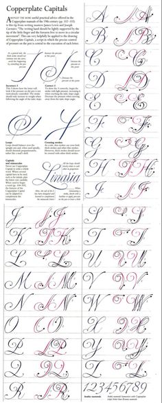 some type of calligraphy that is in different styles and font types, including the upper letters