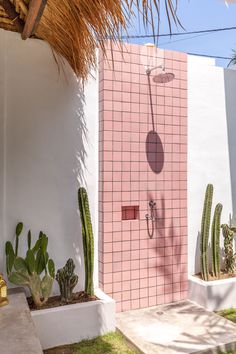 a pink tiled shower with cactus plants in the foreground and a white wall behind it