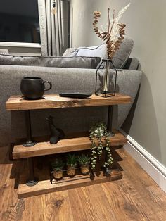 a living room with a couch, coffee table and potted plants on the shelf