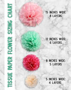 the instructions for how to make tissue paper flowers with pom poms on them