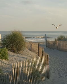 Northern Coastal Aesthetic, Coastal Fall Aesthetic, Peaceful Summer, Beach Post, Costal Granddaughter, Coastal Fall, East Coast Summer, Future Aesthetic, England Summer