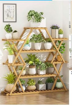 a shelf with plants and potted plants on it