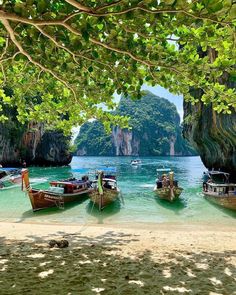 several boats are docked on the beach under trees