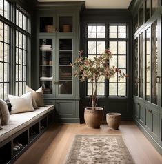 a living room with green walls and wooden flooring, two windows on each side