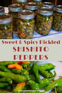 sweet and spicy pickled shishito peppers in mason jars with text overlay