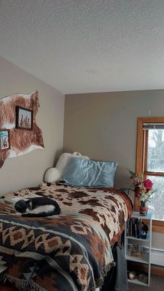 a cat sleeping on top of a bed in a room with a window and pictures on the wall