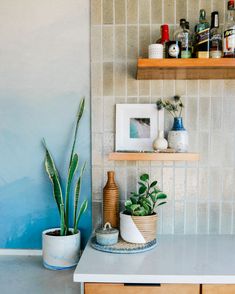 a kitchen counter with some plants and bottles on the shelf above it in front of a tiled wall