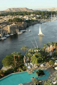 an aerial view of a marina with boats and palm trees