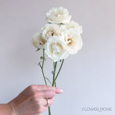 a person holding a bunch of white flowers