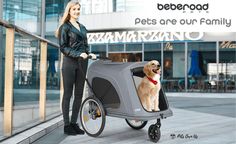 a woman standing next to a dog in a stroller