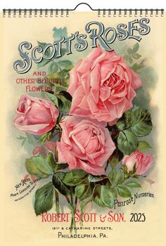 an advertisement for scott's roses with pink roses in the center and green leaves