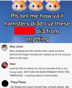 two hamsters on twitter with caption that reads, piss tell me how ya'll hamsters did cuz these dis from anything?