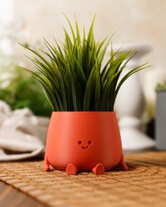 a potted plant sitting on top of a wooden table