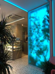 the interior of a restaurant with blue lighting and plants in front of it, along with an illuminated wall