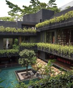 an indoor courtyard with trees and plants growing on the walls, in front of a swimming pool