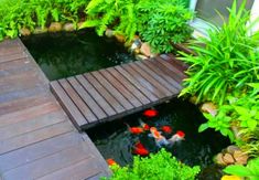 a wooden bridge over a small pond filled with goldfish