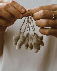 two hands are holding three small gray objects with tiny white ones hanging from the string