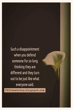 a white flower with a quote on it saying, such a disappointmentment when you defend someone for so long thinking they are different and they turn out to be just like what everyone said