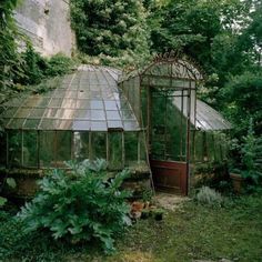 an old greenhouse is surrounded by greenery and trees